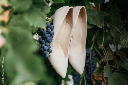 Pair of wedding shoes. White elegant wedding shoes for a bride in a vineyard