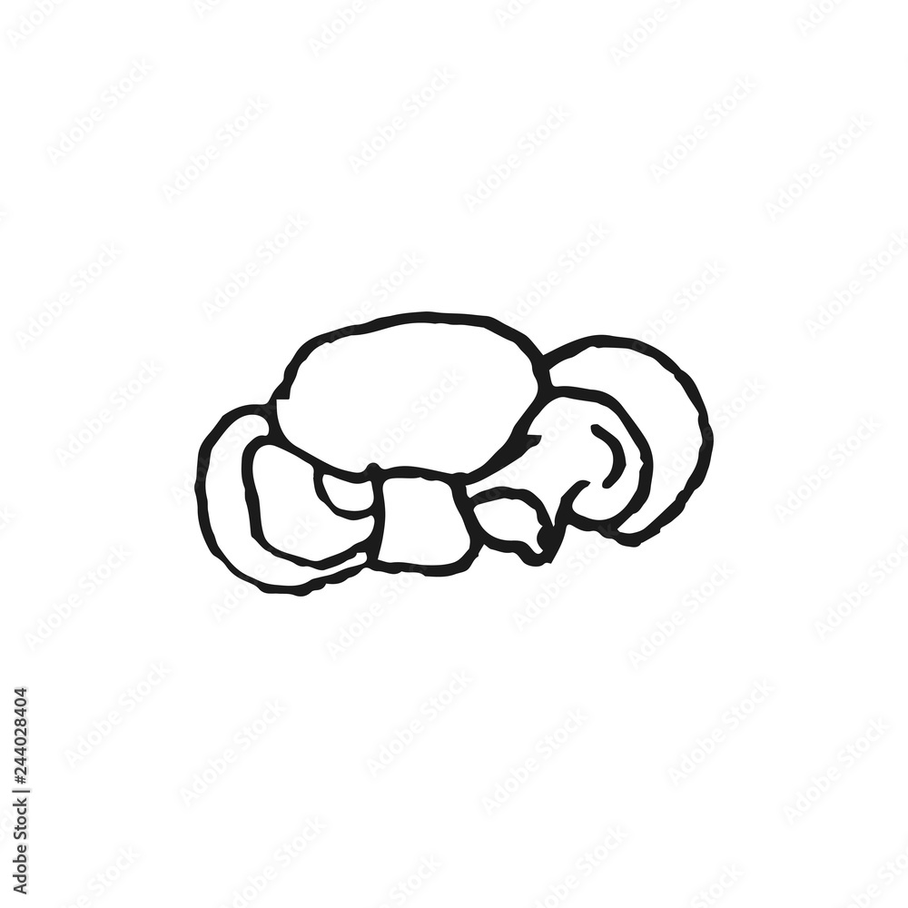 mushrooms doodle vector sketch isolated on white background mushrooms doodle vector sketch isolated on white background