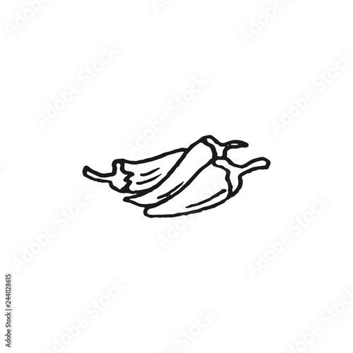 pepper doodle vector sketch isolated on white background