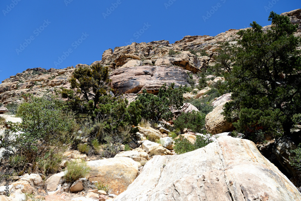 Hillside in Red Rock Canyon, Nevada, USA Hillside in Red Rock Canyon, Nevada, USA