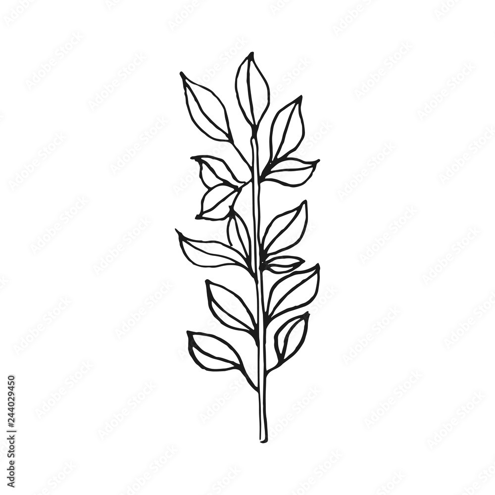 branch with leaves vector doodle sketch isolated on white background branch with leaves vector doodle sketch isolated on white background