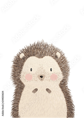 Cute image vector illustration of adorable hedgehog isolated on white background. Hand drawing hedgehog for greeting card, decor for nursery baby and kids room. Wallpaper, apparel, invitation, poster photo