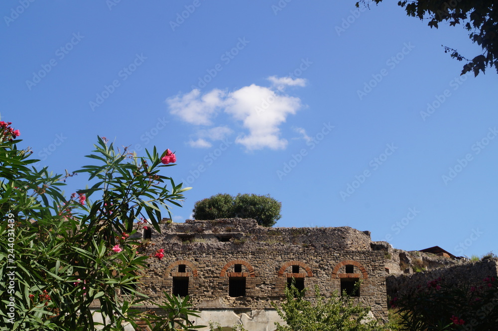 Ruins of the ancient city of Pompeii