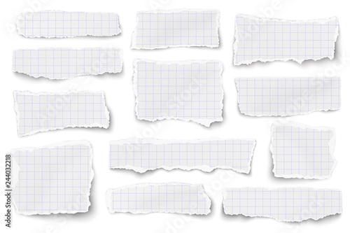 Set of checkered paper different shapes scraps isolated on white background. Vector paper mockup.