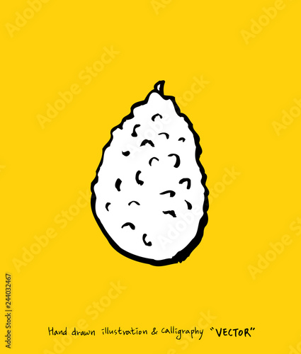 농산물 일러스트 / 손으로 그린 과일과 채소 그림