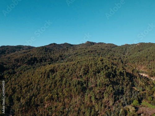 Aerial view of a pine forest in a mountain. Sintra Portugal