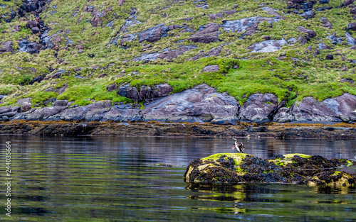 View of the loch coruisk at the Isle of Skye also popular for its wildlife