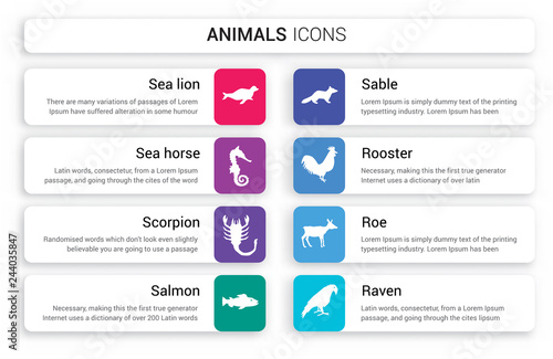 Set of 8 white animals icons such as Sea lion, Horse, Scorpion, Salmon, Sable, Rooster isolated on colorful background