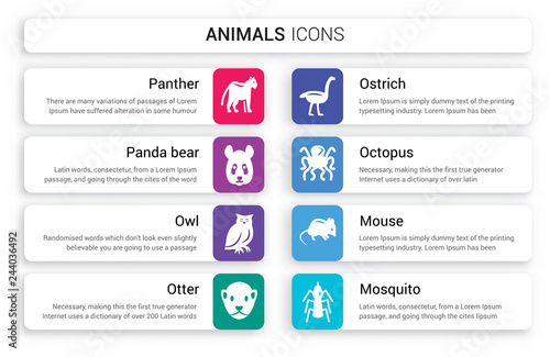 Set of 8 white animals icons such as Panther, Panda bear, Owl, Otter, Ostrich, Octopus isolated on colorful background photo