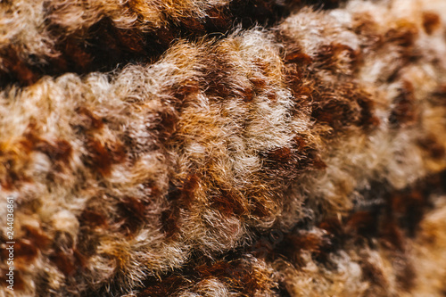 Texture of leopard artificial plush wool, macro