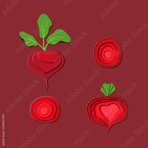 Set of paper cut red beet. Vector paper craft design in the form of ripe beetroot whole and slice. Vector illustration. Paper applique art style root vegitable. Origami concept.