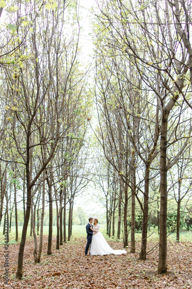 A wedding in the summer. Bride and groom.