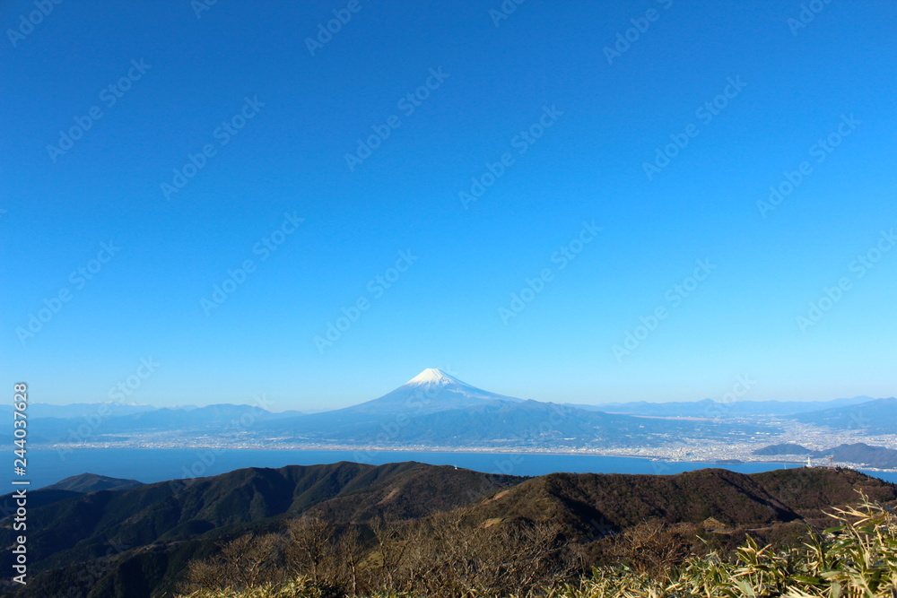 伊豆　達磨山と富士山
