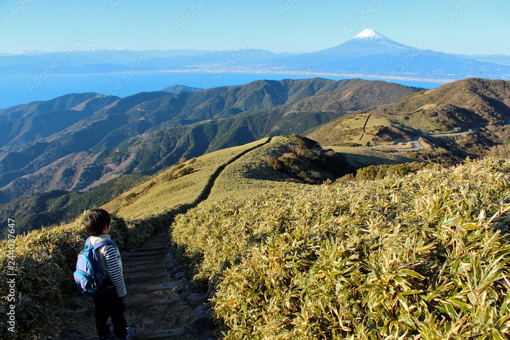 伊豆　達磨山と富士山