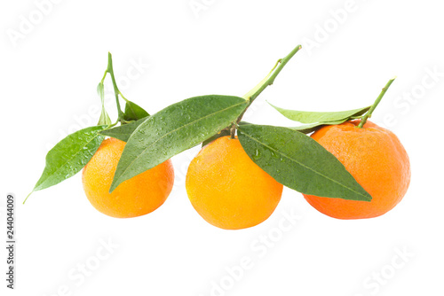 Orange mandarins with green leaves isolated on white background
