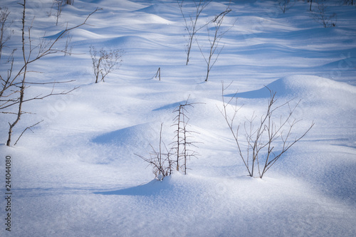 Natural winter landscape background on a frosty day