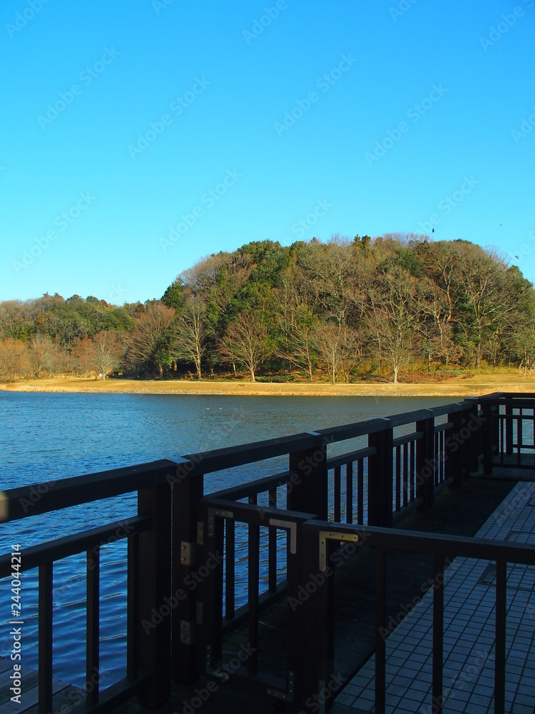 Obraz premium 柵と冬の公園風景