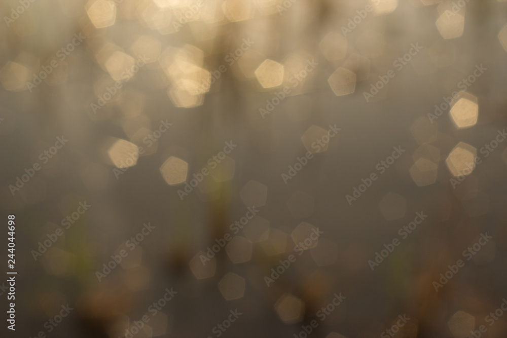 Fototapeta premium abstract background with bokeh