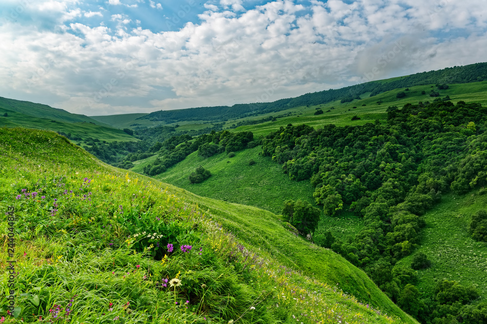 Bright mountain landscape. Panoramic view of the grassy highlands on a Sunny summer day. Caucasian mountains. Bright mountain landscape. Panoramic view of the grassy highlands on a Sunny summer day. Caucasian mountains.