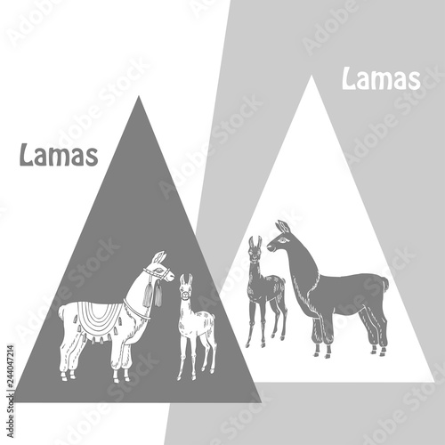 Llamas sketches and silhouettes. Hand drawn animals