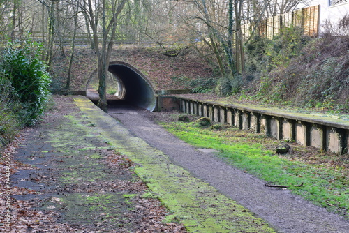 Closed and aAbandoned railway station at West Grinstead in West Sussex photo