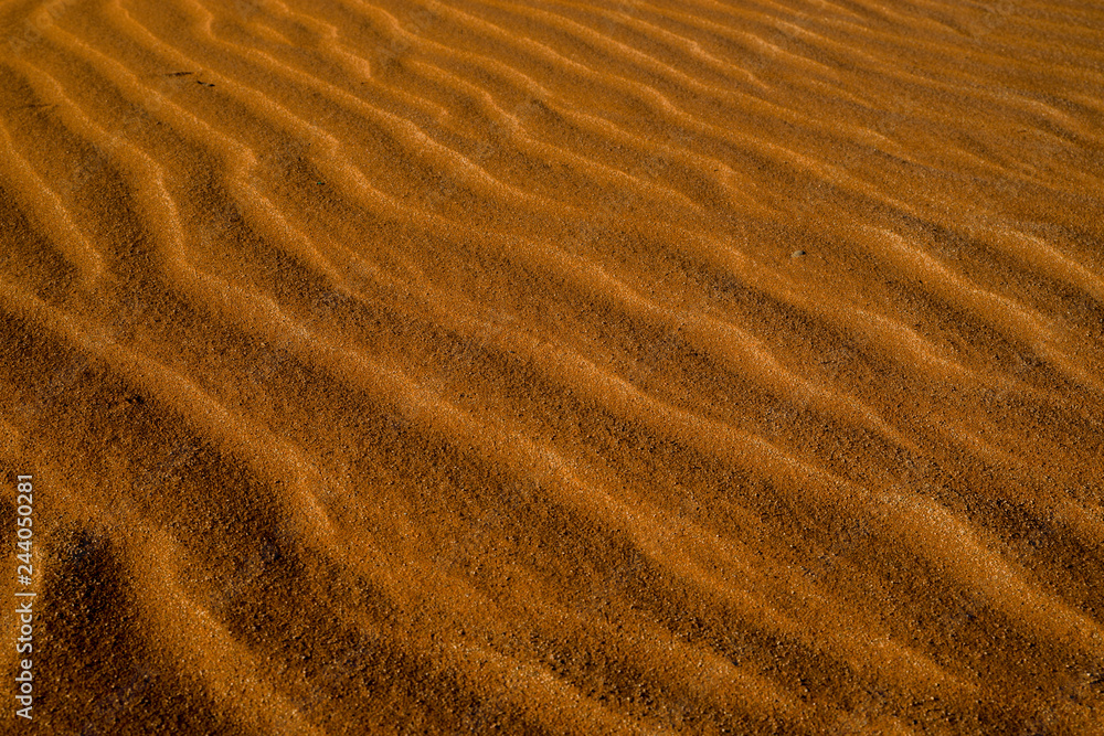 Fototapeta ナミブ砂漠の砂紋