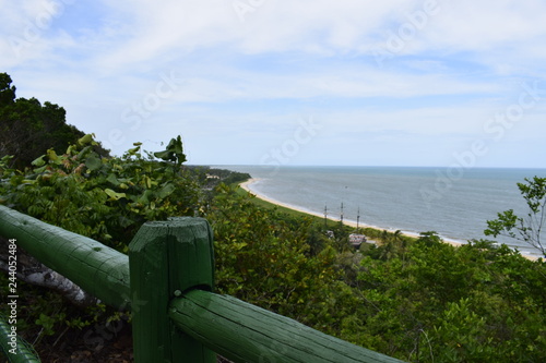 Horizonte costeiro de mar  vegeta    o tropical e c  u azul. Porto Seguro  Bahia.