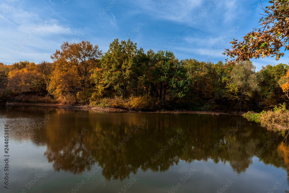 lake with autumn trees on the shore. the mirror surface of the lake. autumn composition.