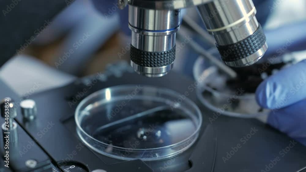 Scientist in a laboratory analyzes the soil inside to collect the DNA. Senior male researcher carrying out scientific research in a lab. analysis, dna, bio, microbiology, augmented reality Scientist in a laboratory analyzes the soil inside to collect the DNA. Senior male researcher carrying out scientific research in a lab. analysis, dna, bio, microbiology, augmented reality