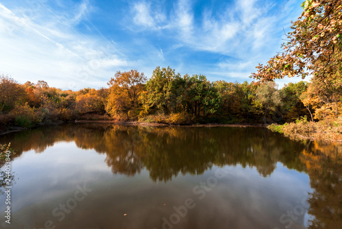 lake with trees on the shore. the mirror surface of the lake. autumn composition.