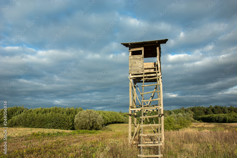 Wooden pulpit for hunters, meadow and forest - bottom view