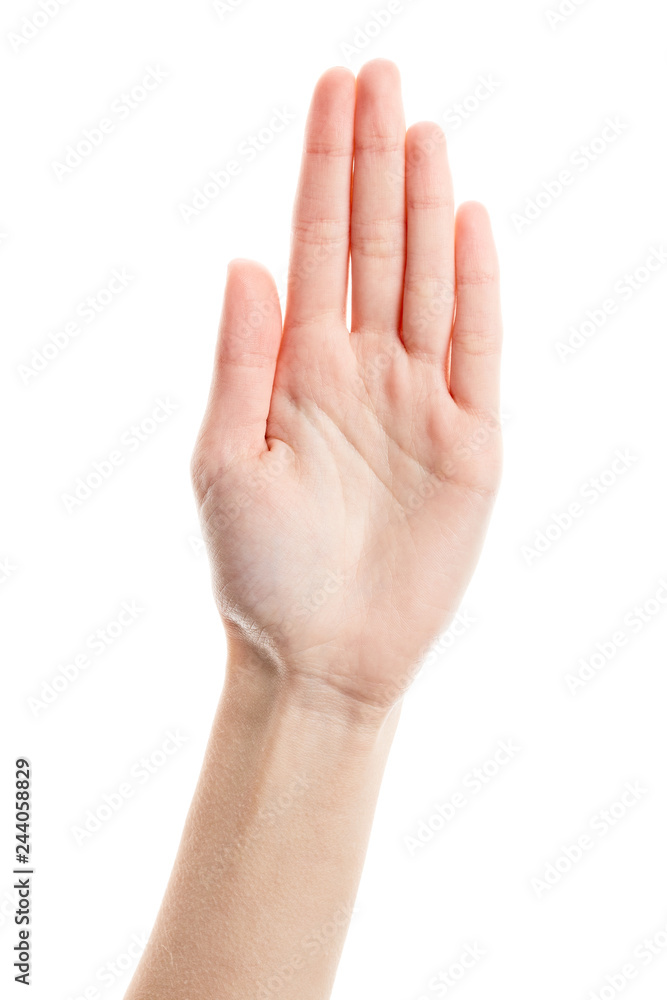 Female hand isolated on white background. White woman's hand showing symbols and gestures. Palm Female hand isolated on white background. White woman's hand showing symbols and gestures. Palm