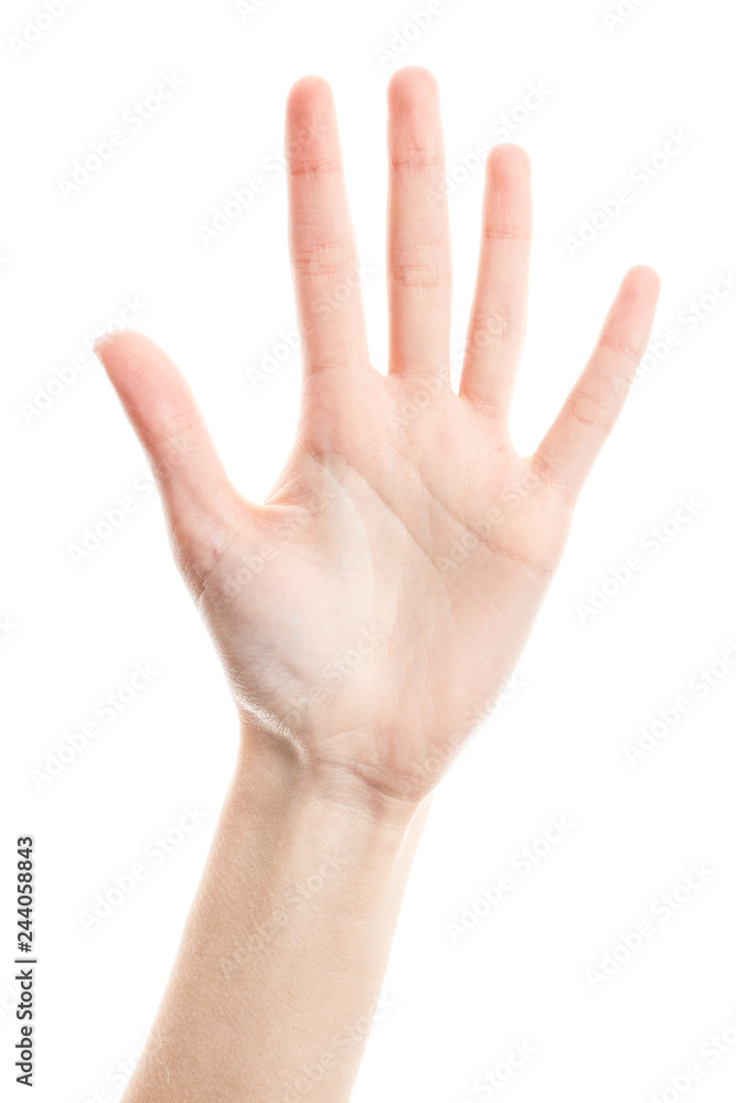 Female hand isolated on white background. White woman's hand showing symbols and gestures. Palm Female hand isolated on white background. White woman's hand showing symbols and gestures. Palm