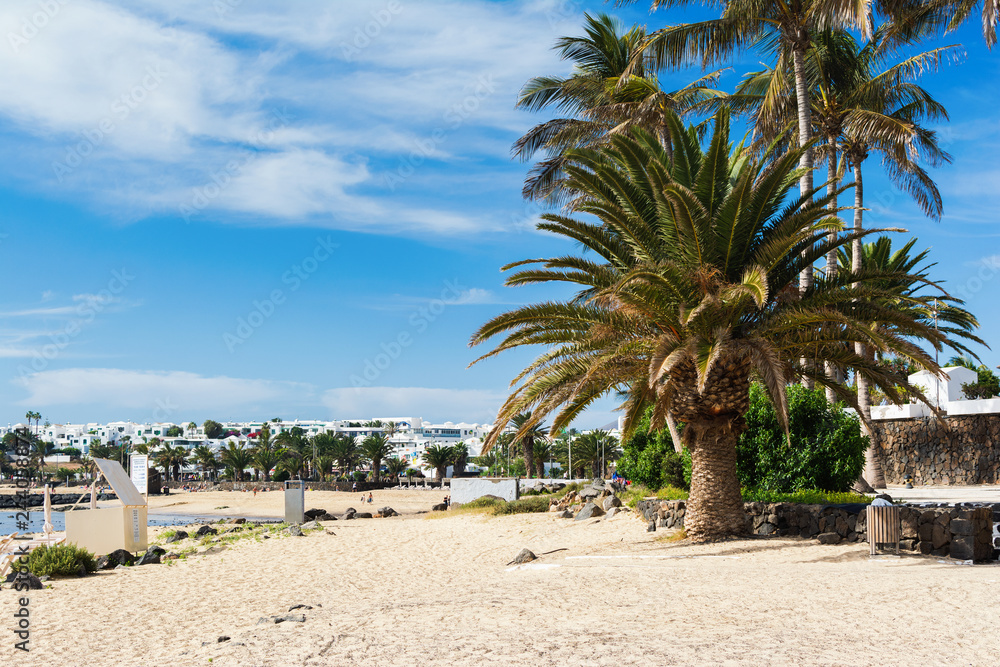 Golden sand beach in Las Cucharas, Lanzarote, Canary islands. VIew of the sea, coast, palm trees, selective focus