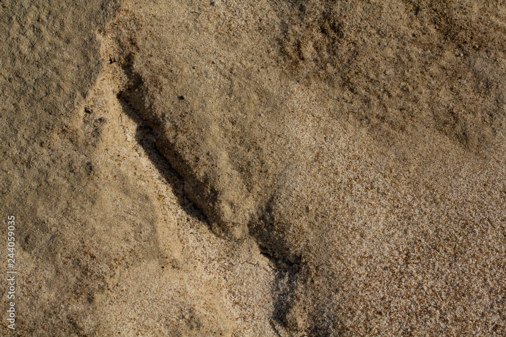 Fine sand wetted with rain water. Weighted sand. Sand used at playgrounds. Fine sand wetted with rain water. Weighted sand. Sand used at playgrounds.