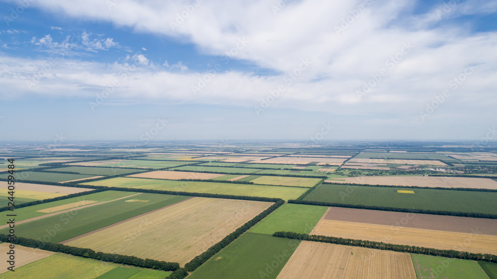 Naklejka premium Aerial view of fields with various types of agriculture, against cloudy sky
