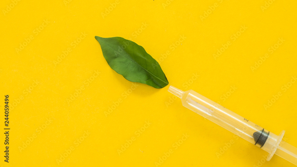 Syringe and leaves symbol Syringe and leaves symbol