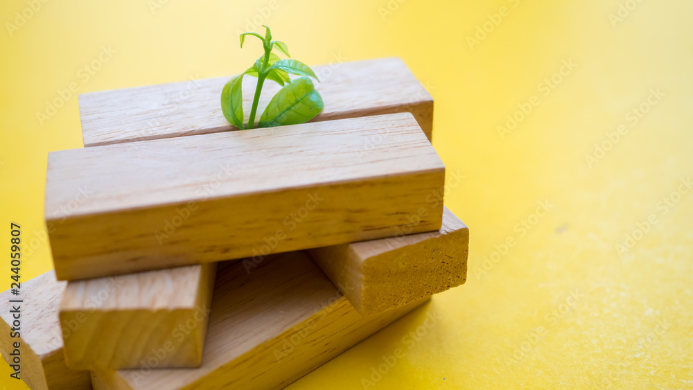 Leaves nature small green plant grow on wood block Leaves nature small green plant grow on wood block