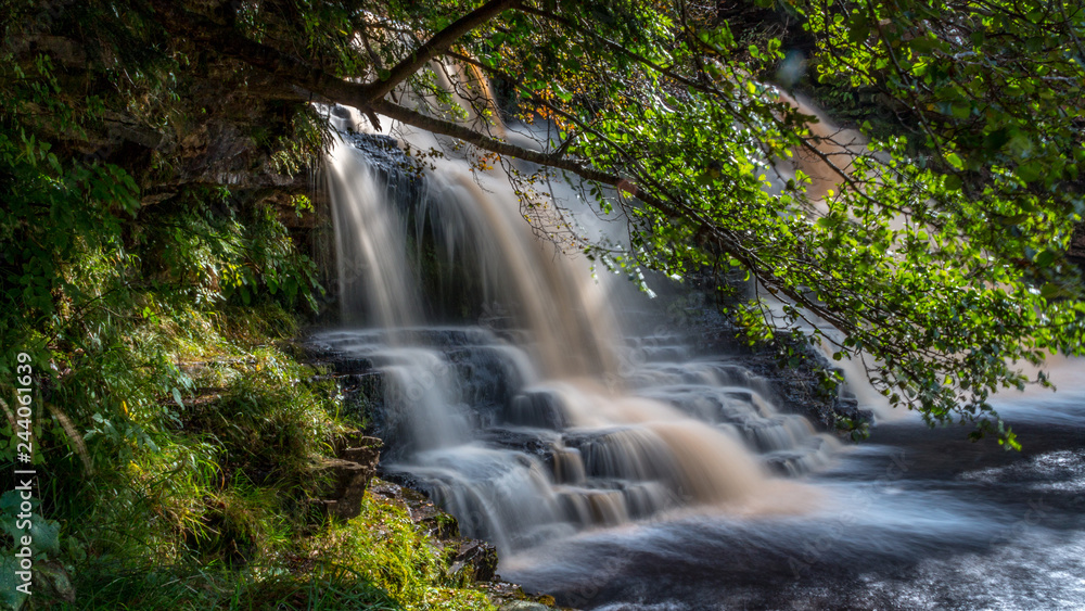 Crammel Linn Crammel Linn