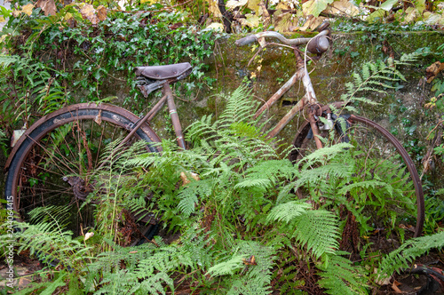 Altes Fahrrad lehnt an einer Mauer photo