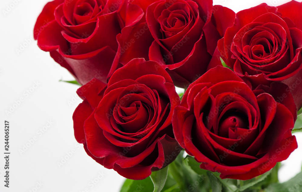 Red roses white background Valentines Day Wedding card Red roses white background Valentines Day Wedding card