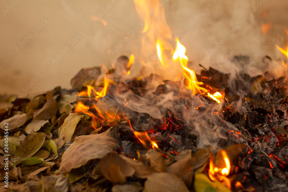 Bonfire of the fallen leaves during autumn