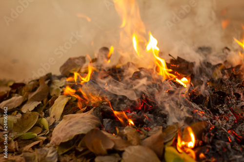 Bonfire of the fallen leaves during autumn