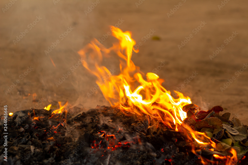 Bonfire of the fallen leaves during autumn Bonfire of the fallen leaves during autumn