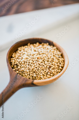 Sorghum Grain