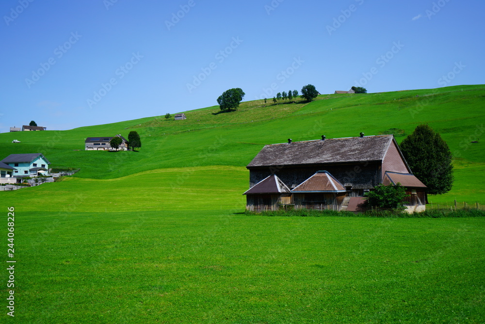 Obraz premium 스위스 초원