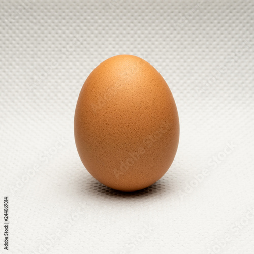 Egg on white textured background