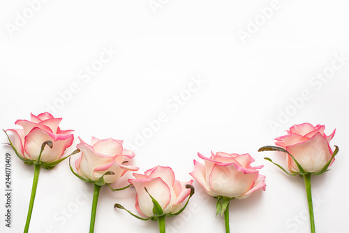 Fototapeta Naklejka Na Ścianę i Meble -  Five pink roses on a white background, beautiful fresh roses.