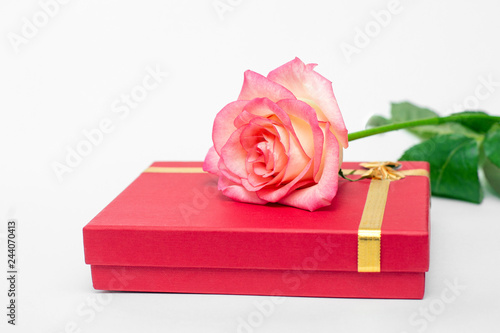 Red box and pink rose on a white background, a gift for the beloved. Your gifts