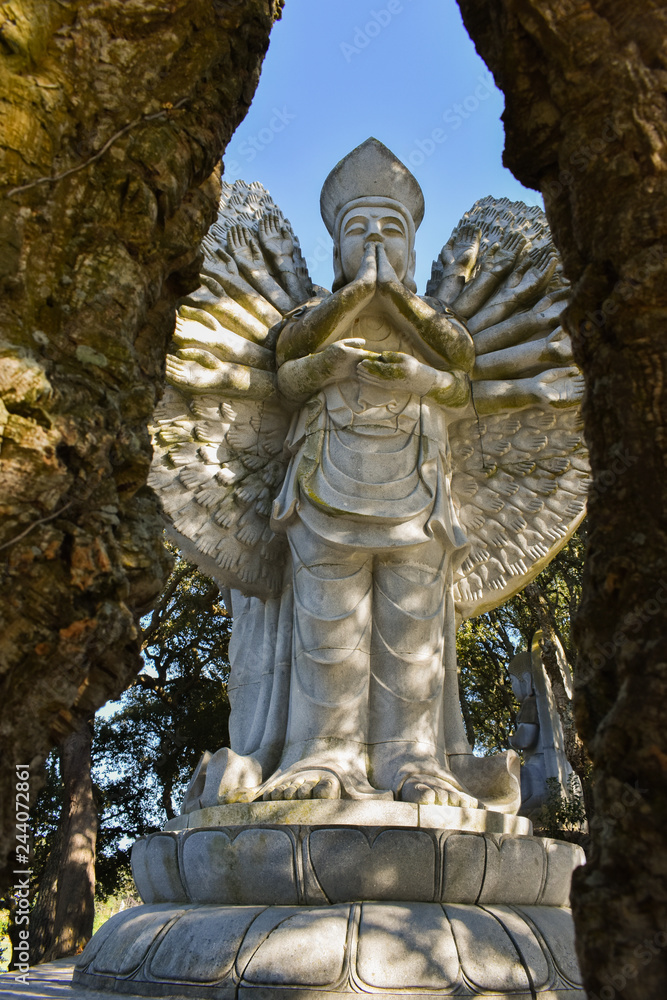  Buddha Statue